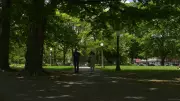 Revitalization Project Coming to Centretown Park in Ottawa