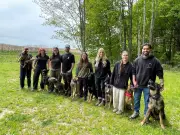 Rise in Demand for Protection and Guard Dogs: Dog Trainers Report Trend