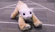 Roomba pioneer targets household market with AI pet robot