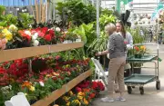 Saskatchewan Gardeners Face Late Spring Challenges