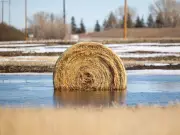 Saskatoon in Photos: Memorable Moments from April 2026