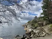 Scuba Diver Dies in Incident at Whytecliff Park, West Vancouver