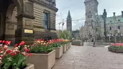 Severe Thunderstorm Watch Issued for Ottawa Tuesday Evening