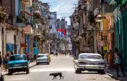 Sherritt Halts Cuba Nickel Venture Dissolution Amid US Sanctions