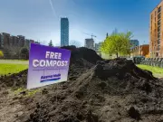 Signs and 'shadow campaigns' give Toronto council incumbents a leg up