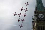 Snowbirds could face years of grounding: Conservative warning