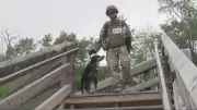 Stair Climbers Show Strength in Fundraiser for Military Families at McHugh Bluffs