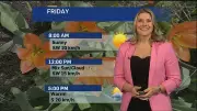 Summer-Like Weather Expected for Long Weekend in London