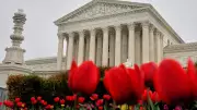 Supreme Court Ruling on Louisiana Redistricting Sparks National Battle