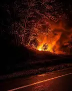 Suspicious Brush Fire Near Coombs Prompts RCMP Investigation