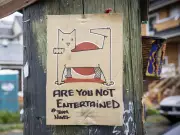 Team Nigel: Inside the East Vancouver feud over a famous roaming cat