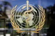 Three die on cruise ship from suspected hantavirus: WHO