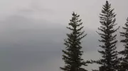 Thunderstorm Watch Issued for Southwest Saskatchewan