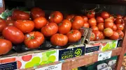 Tomato Prices Surge 40% as Tariffs and War Drive Food Inflation