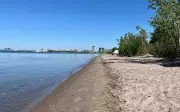 Toronto Beach Erosion: Advocacy Group Urges Faster City Action