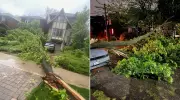 Toronto Cleanup Underway After Severe Rainstorm Causes 672 Emergencies