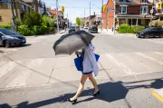Toronto to See More Sun, Warmer Temperatures After Heavy Downpours