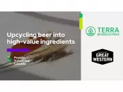 Transforming Beer Byproduct into High-Value Ingredients via Upcycling