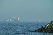 Trump says U.S. will guide stranded ships from Strait of Hormuz starting Monday