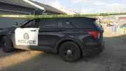 Two Youths in Custody After Auburn Bay Stabbing in Calgary