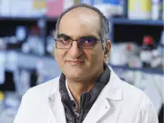 U of S Develops Lab-Grown Organoids to Replace Animal Testing