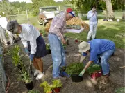 Understanding Xeriscaping: Water-Wise Gardening Explained