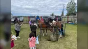 Unique Calgary Fundraiser: Children Read to Horses to Boost Literacy