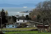 U.S. Charges B.C. Men with Smuggling Vietnamese Migrants into Washington State