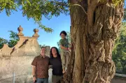 US Family Struggles with Move to Germany: A Tough Adjustment