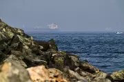 US military boards Iranian oil tanker suspected of breaching blockade