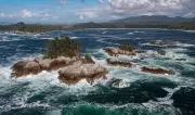 Vast Marine Reserve Larger Than P.E.I. to Protect B.C. Central Coast