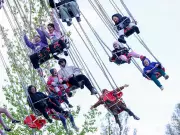 Victoria Day Festivals Rebound After Snowy Saturday Disruption