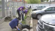 Volunteers spruce up outdoor space for Edmonton seniors on Day of Giving