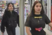 Waterloo Regional Police Seek Tips in Cambridge, Waterloo Thefts
