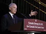 Why Carney's Sovereign Wealth Fund Could Backfire on Canada's Economy