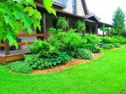Why Garden Mulching Matters: Essential Benefits for Healthy Soil