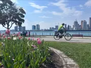 Windsor-Essex Set for Sunny Week with Rising Temperatures After Morning Fog