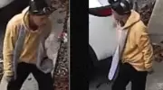 Windsor Police Seek Multiple Suspects in Property Damage Cases