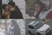 Windsor Police Seek Public's Help to Identify 13 Retail Theft Suspects
