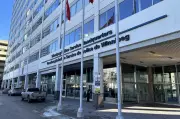 Winnipeg Man Arrested After Imitation Gun Incident, Window Smashed