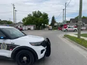 Winnipeg Police to Detail Use of Force Incident on King Edward Street