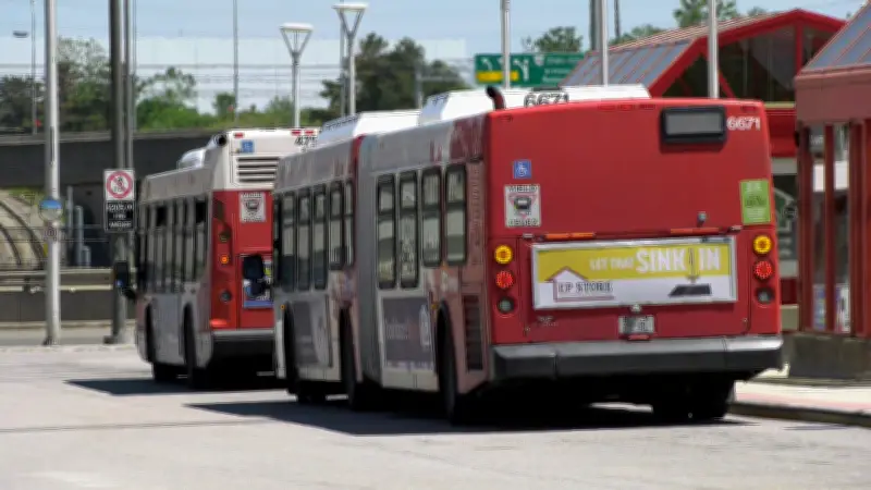 OC Transpo Bus Routes Along LRT Cost $5M Yearly: Audit