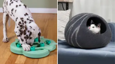 24 Can't-Miss Pet Deals From Amazon Canada's Prime Day Sale