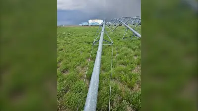 3 charged in $96K copper wire theft from Alberta irrigation equipment