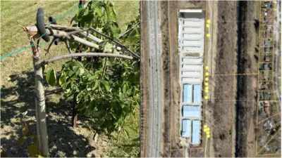 32 Trees Vandalized in Niagara Falls Cost Over $20,000 to Replace