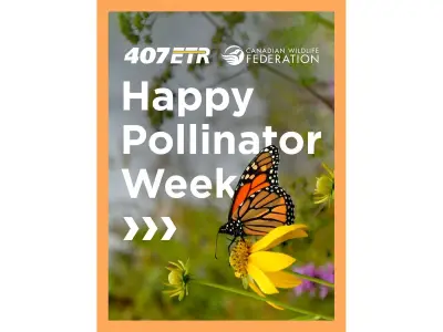 407 ETR Invests $2M in Pollinator Habitat with Canadian Wildlife Federation