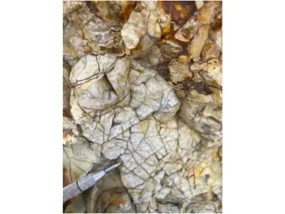 Almadex Stakes Epithermal Precious Metals Prospect in Idaho