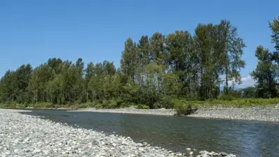 Arrest Made in Vedder River Fire Near Chilliwack: Police