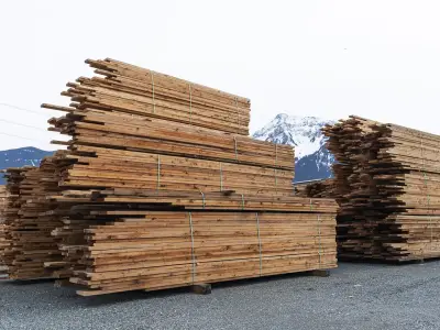 B.C. forestry task force urges urgent reforms for industry's future