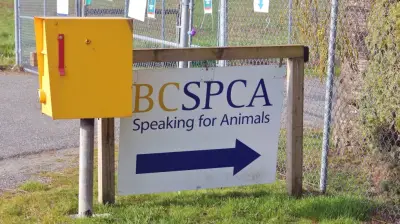 B.C. Man Sentenced for Killing Neighbor's Dog in Shocking Case